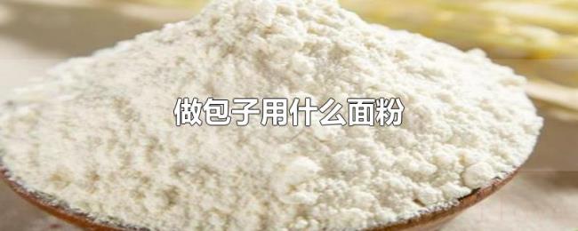 做包子用什么面粉 做包子用什么面粉