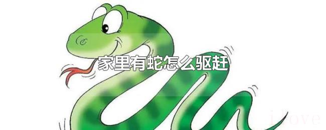 家里有蛇怎么驱赶 家里有蛇怎么驱赶