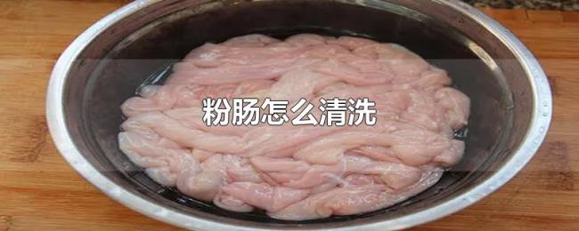 粉肠怎么清洗 粉肠怎么清洗