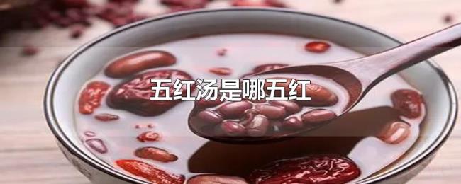 五红汤是哪五红 五红汤是哪五红