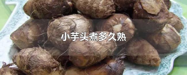 小芋头煮多久熟 小芋头煮多久熟