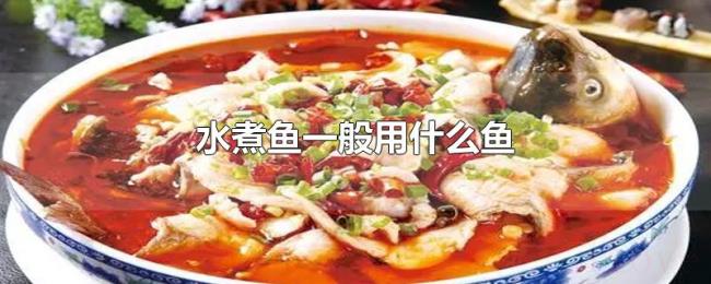 水煮鱼一般用什么鱼 水煮鱼一般用什么鱼