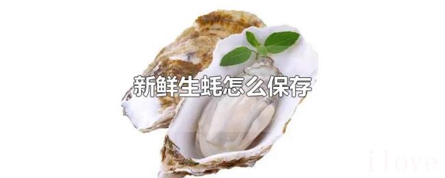 新鲜生蚝怎么保存 新鲜生蚝怎么保存