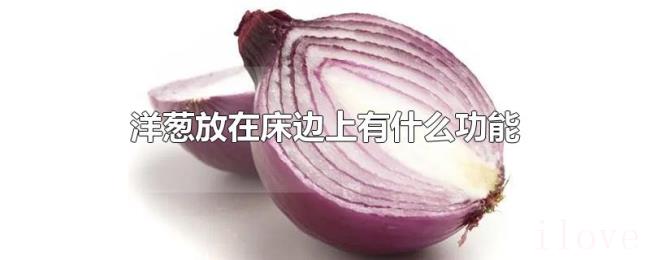 洋葱放在床边上有什么功能 洋葱放在床边上有什么功能