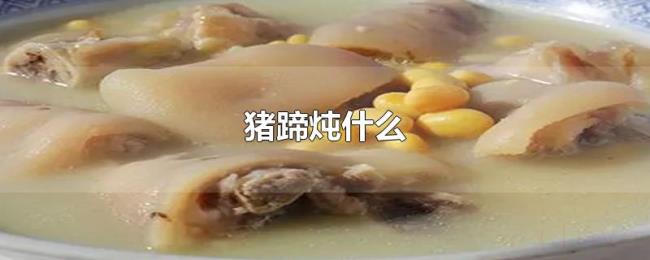 猪蹄炖什么 猪蹄炖什么