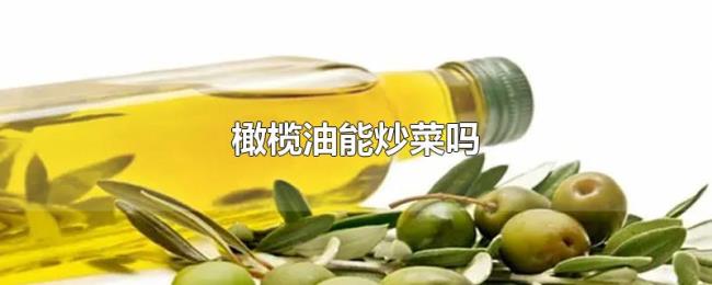 橄榄油能炒菜吗 橄榄油能炒菜吗