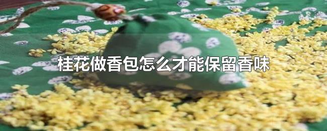 桂花做香包怎么才能保留香味 桂花做香包怎么才能保留香味