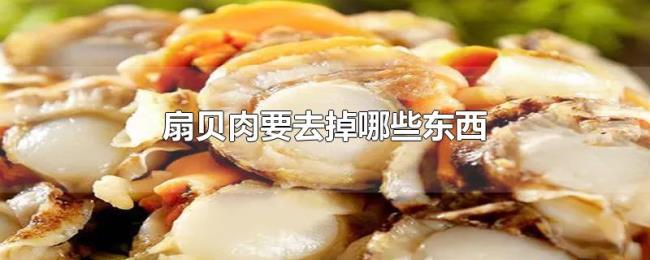 扇贝肉要去掉哪些东西 扇贝肉要去掉哪些东西