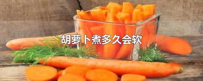 胡萝卜煮多久会软 胡萝卜煮多久会软