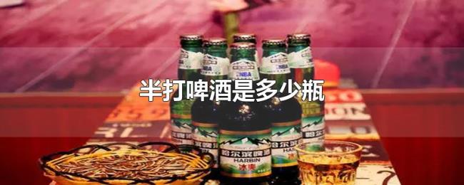 半打啤酒是多少瓶 半打啤酒是多少瓶