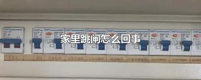 家里跳闸怎么回事 家里跳闸怎么回事