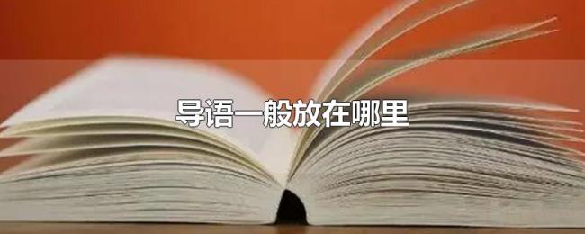导语一般放在哪里 导语一般放在哪里