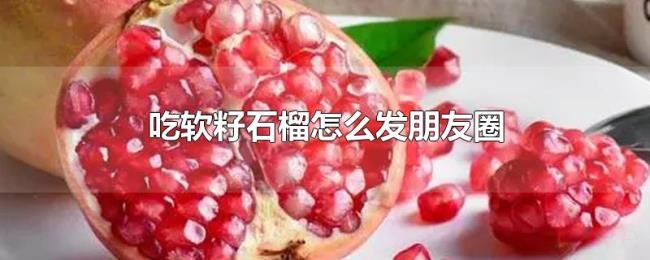吃软籽石榴怎么发朋友圈 吃软籽石榴怎么发朋友圈