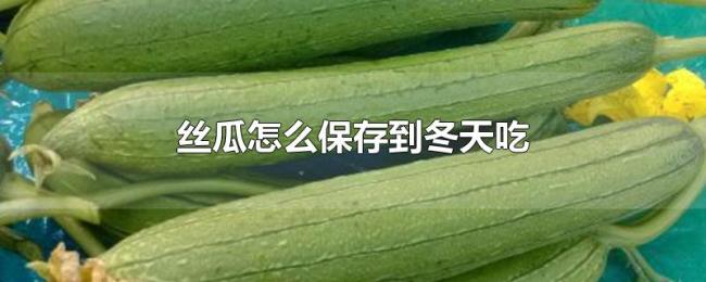 丝瓜怎么保存到冬天吃 丝瓜怎么保存到冬天吃