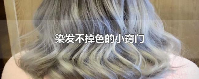 染发不掉色的小窍门 染发不掉色的小窍门