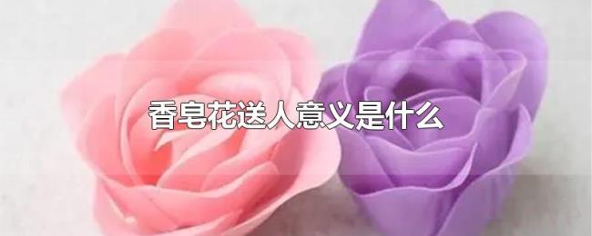 香皂花送人意义是什么 香皂花送人意义是什么