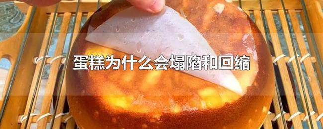 蛋糕为什么会塌陷和回缩 蛋糕为什么会塌陷和回缩