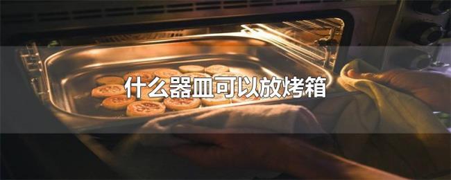 什么器皿可以放烤箱 什么器皿可以放烤箱