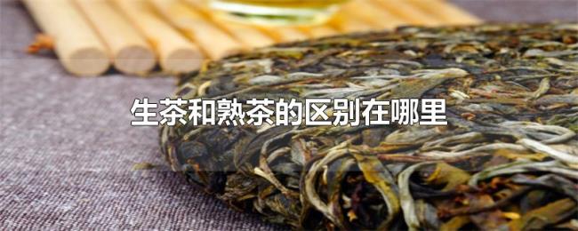 生茶和熟茶的区别在哪里 生茶和熟茶的区别在哪里
