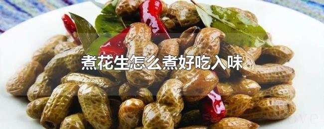 煮花生怎么煮好吃入味 煮花生怎么煮好吃入味