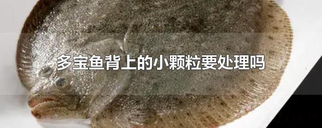 多宝鱼背上的小颗粒要处理吗