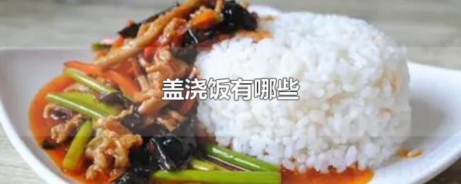 盖浇饭有哪些 盖浇饭有哪些
