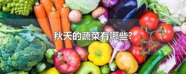 秋天的蔬菜有哪些? 秋天的蔬菜有哪些?