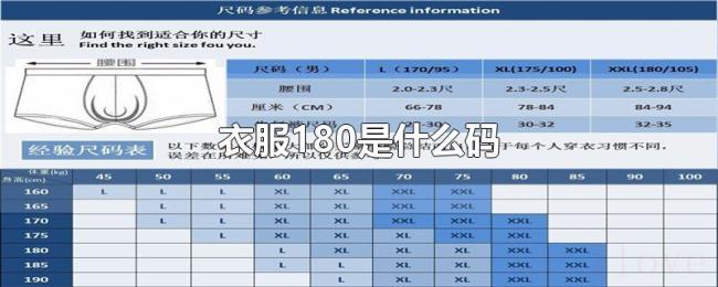 衣服180是什么码 衣服180是什么码