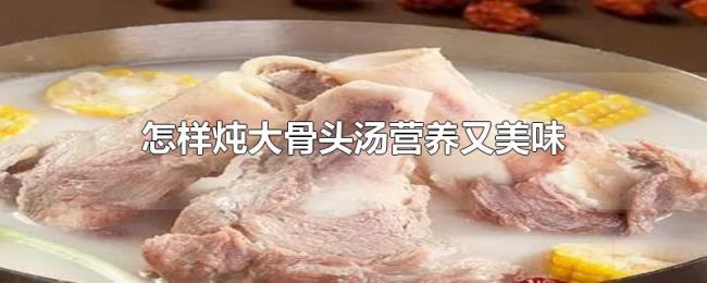 怎样炖大骨头汤营养又美味 怎样炖大骨头汤营养又美味