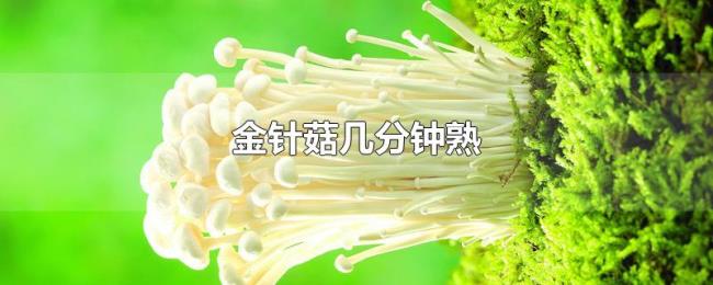 金针菇几分钟熟 金针菇几分钟熟