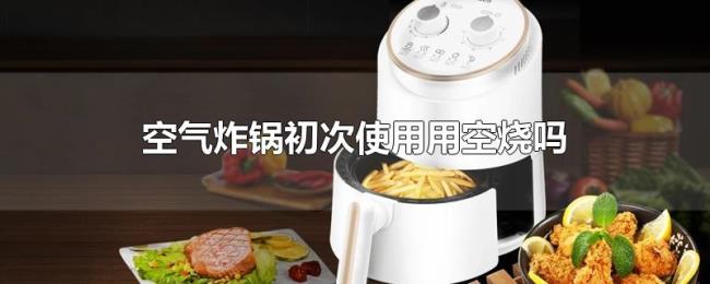 空气炸锅初次使用用空烧吗 空气炸锅初次使用用空烧吗