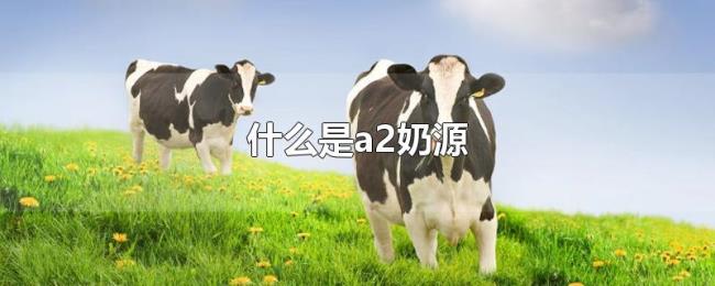 什么是a2奶源 什么是a2奶源