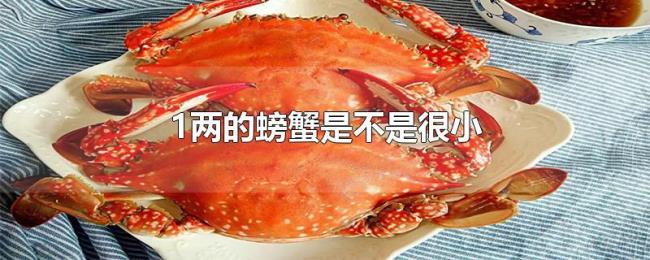 1两的螃蟹是不是很小 1两的螃蟹是不是很小