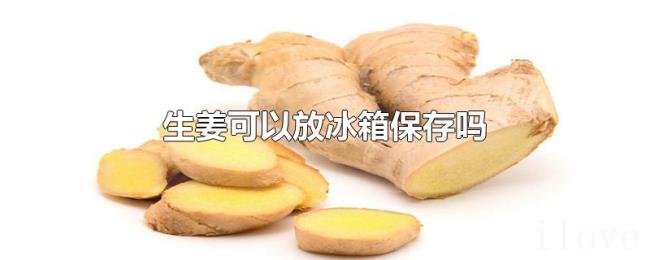 生姜可以放冰箱保存吗