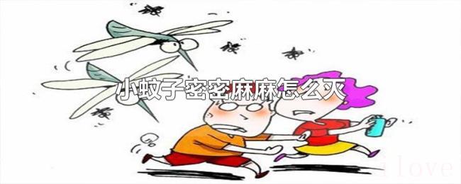 小蚊子密密麻麻怎么灭 小蚊子密密麻麻怎么灭