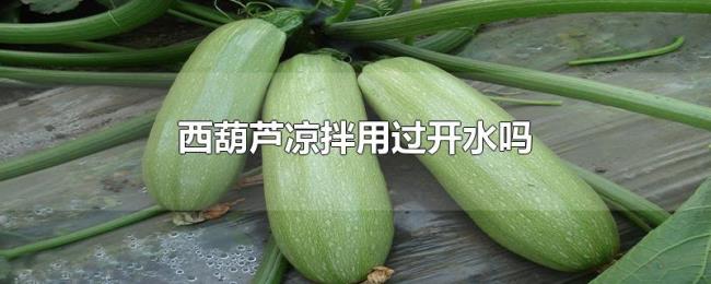 西葫芦凉拌用过开水吗