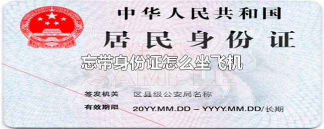 忘带身份证怎么坐飞机 忘带身份证怎么坐飞机