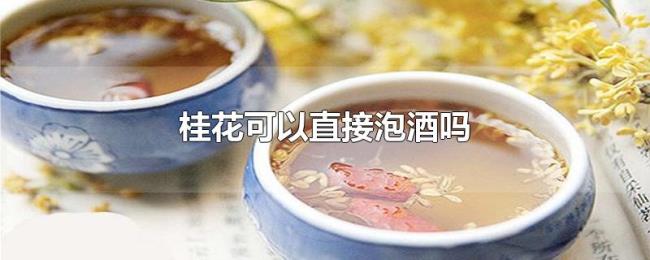 桂花可以直接泡酒吗 桂花可以直接泡酒吗