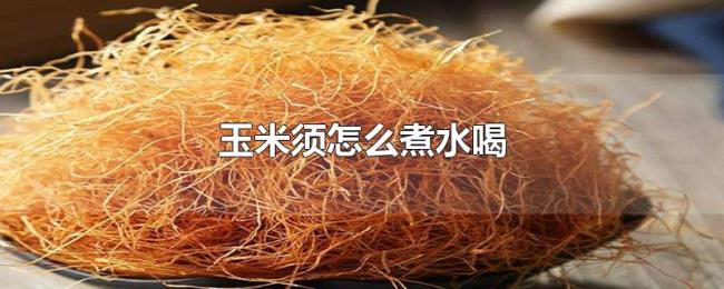 玉米须怎么煮水喝 玉米须怎么煮水喝