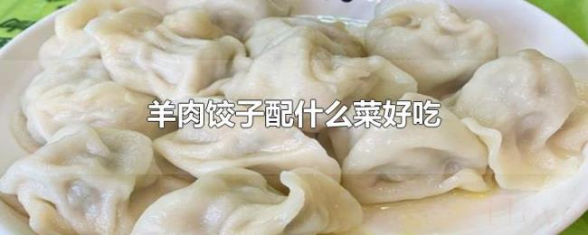 羊肉饺子配什么菜好吃 羊肉饺子配什么菜好吃