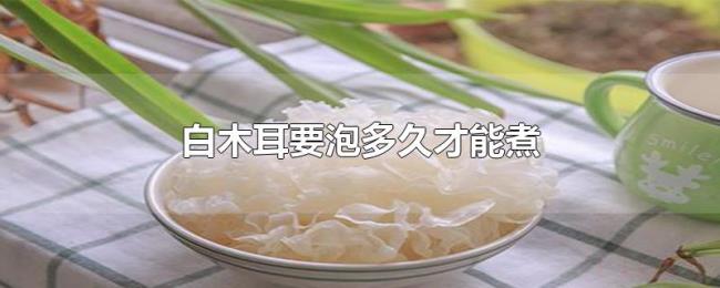 白木耳要泡多久才能煮 白木耳要泡多久才能煮