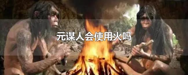 元谋人会使用火吗 元谋人会使用火吗