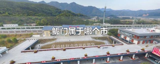 鲘门属于哪个市 鲘门属于哪个市