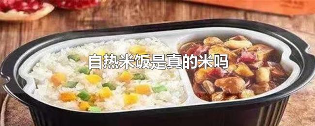 自热米饭是真的米吗