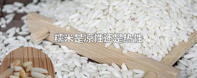 糯米是凉性还是热性 糯米是凉性还是热性