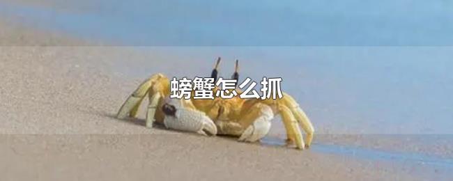 螃蟹怎么抓 螃蟹怎么抓