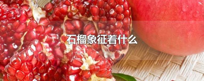 石榴象征着什么 石榴象征着什么