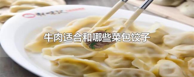 牛肉适合和哪些菜包饺子 牛肉适合和哪些菜包饺子