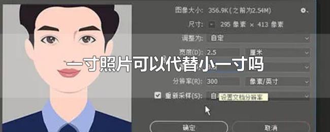 一寸照片可以代替小一寸吗
