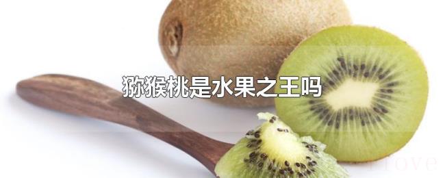 猕猴桃是水果之王吗